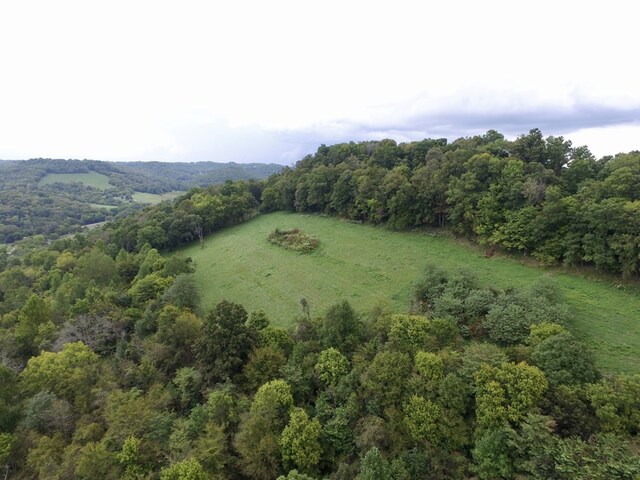 642 Club Springs Rd, Buffalo Valley, TN 38548 - photo 27