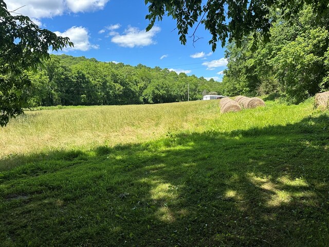 642 Club Springs Rd, Buffalo Valley, TN 38548 - photo 4