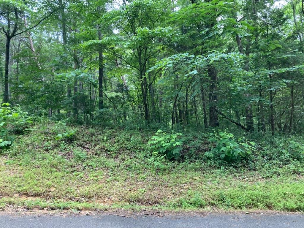 5585 Emerald Rd, Cookeville, TN 38501 - photo 1