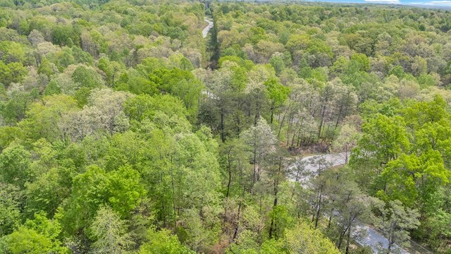 2.93AC Wilder Hwy, Crawford, TN 38554 - photo 4