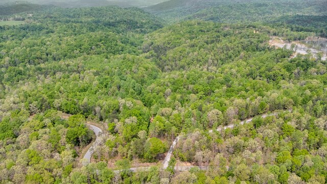 2.93AC Wilder Hwy, Crawford, TN 38554 - photo 12