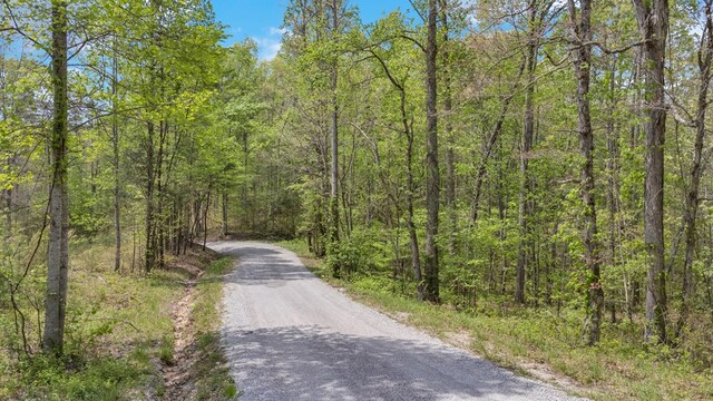 2.93AC Wilder Hwy, Crawford, TN 38554 - photo 7