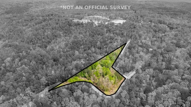 2.93AC Wilder Hwy, Crawford, TN 38554 - photo 11