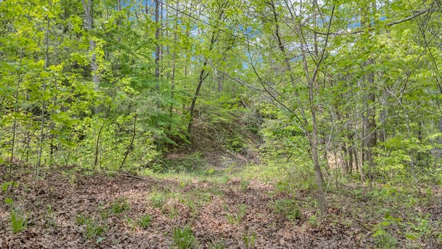 2.93AC Wilder Hwy, Crawford, TN 38554 - photo 3
