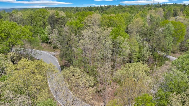 2.93AC Wilder Hwy, Crawford, TN 38554 - photo 1