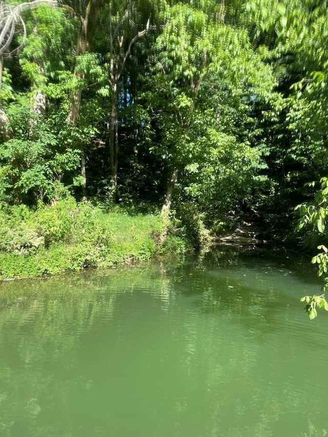 LOT8 Hidden River Rd, Rock Island, TN 38581