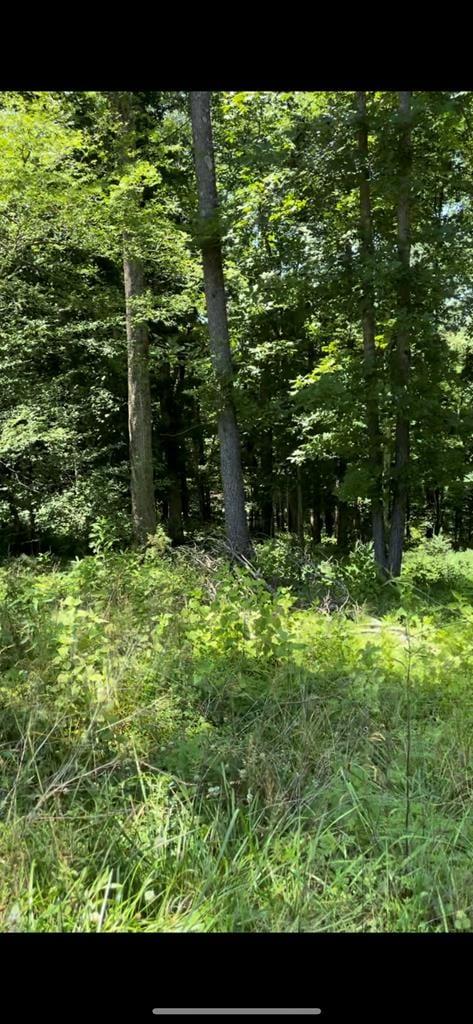 LOT8 Hidden River Rd, Rock Island, TN 38581