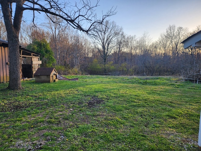 view of yard featuring an outdoor structure and a shed