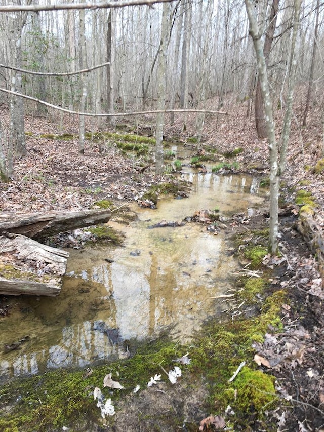 LOT47 Buckeye Ln, Wilder, TN 38589