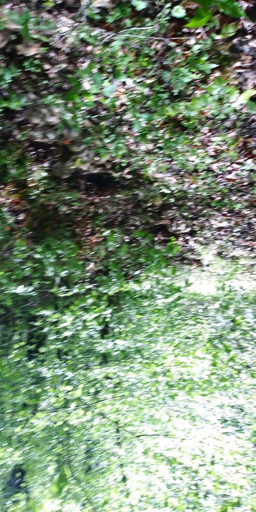 LOT47 Buckeye Ln, Wilder, TN 38589