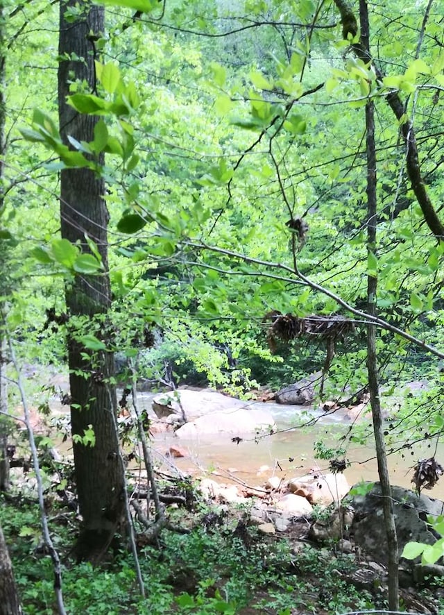 LOT47 Buckeye Ln, Wilder, TN 38589