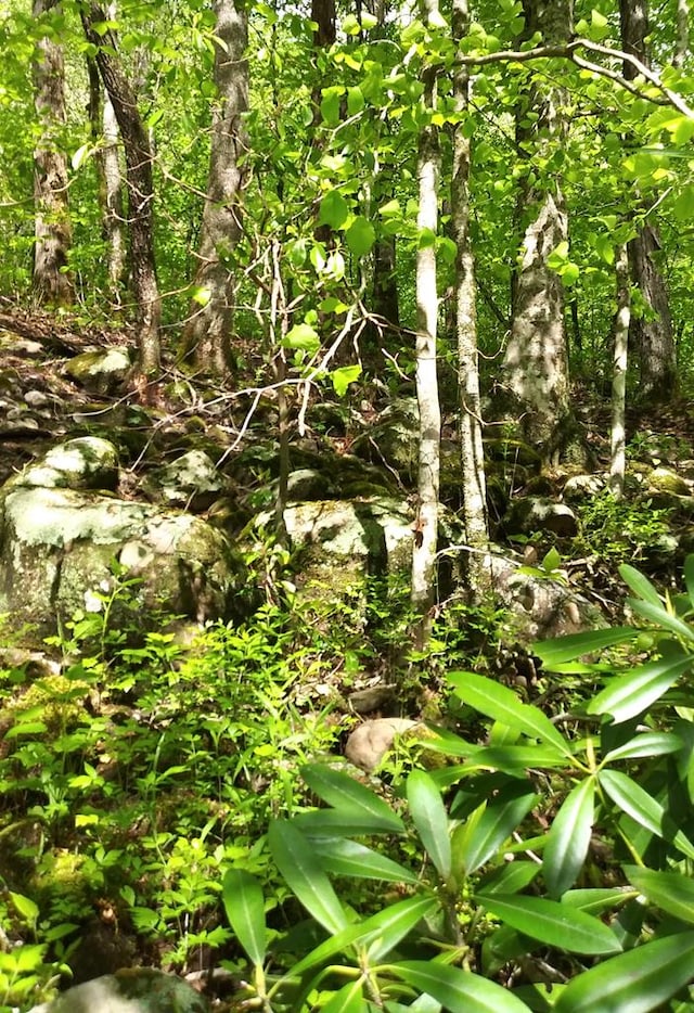 LOT47 Buckeye Ln, Wilder, TN 38589