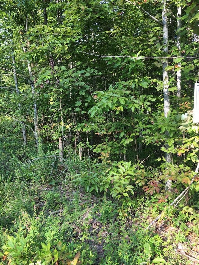 LOT47 Buckeye Ln, Wilder, TN 38589