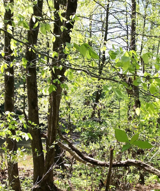 LOT47 Buckeye Ln, Wilder, TN 38589