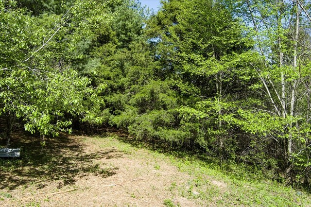 181 Uncle Happy Ln, Sparta, TN 38583 - photo 5