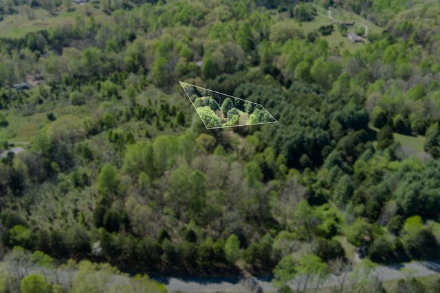 181 Uncle Happy Ln, Sparta, TN 38583 - photo 7