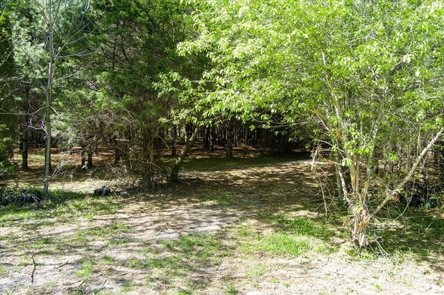 181 Uncle Happy Ln, Sparta, TN 38583 - photo 6