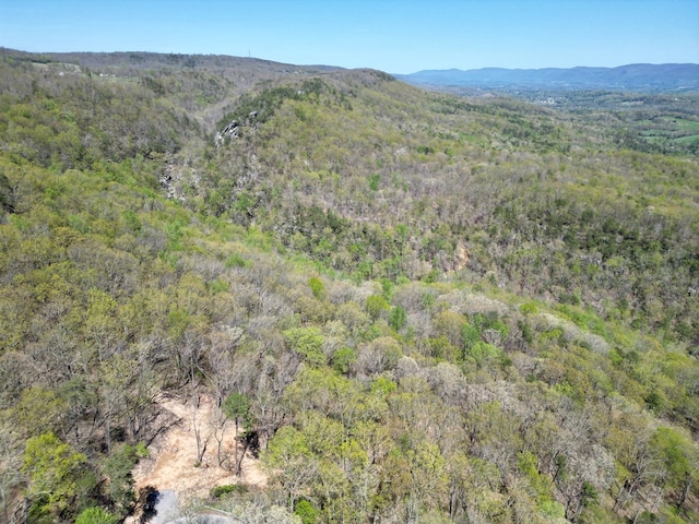 0 Old Spencer Rd Unit 198, Acres, Pikeville, TN 37367