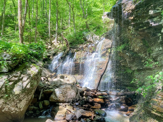 0 Old Spencer Rd Unit 198, Acres, Pikeville, TN 37367