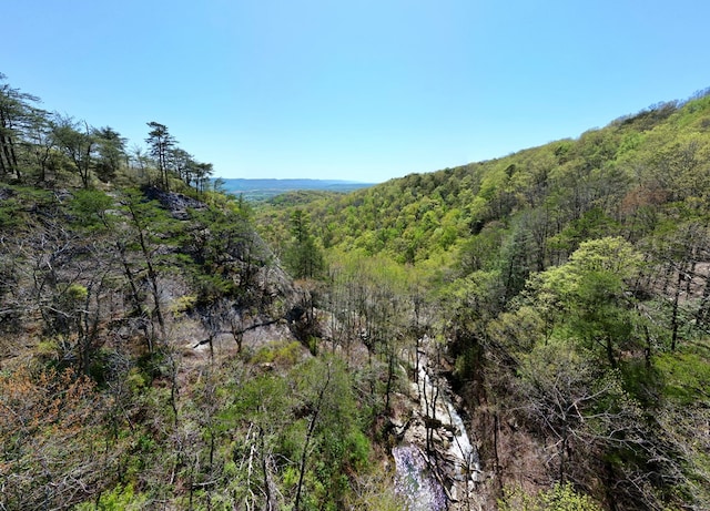 0 Old Spencer Rd Unit 198, Acres, Pikeville, TN 37367
