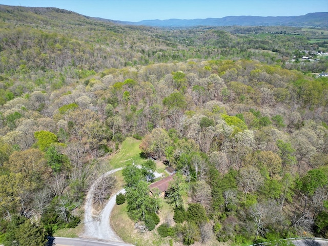 0 Old Spencer Rd Unit 198, Acres, Pikeville, TN 37367