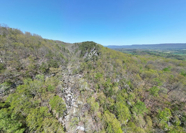0 Old Spencer Rd Unit 198, Acres, Pikeville, TN 37367