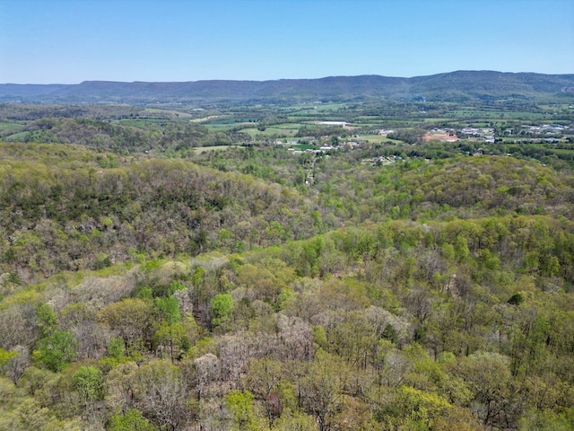 0 Old Spencer Rd Unit 198, Acres, Pikeville, TN 37367