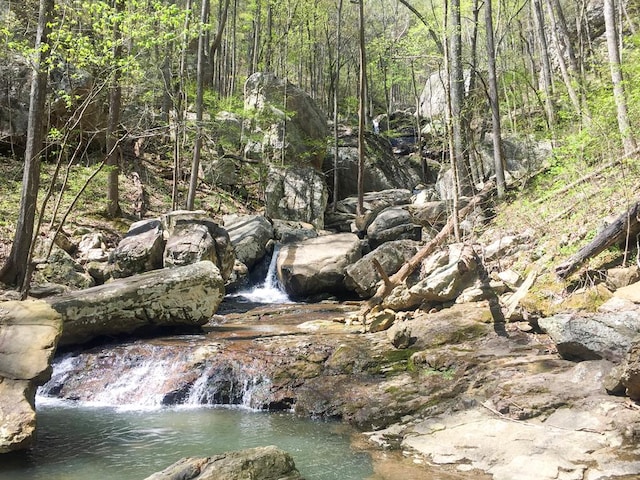 0 Old Spencer Rd Unit 198, Acres, Pikeville, TN 37367