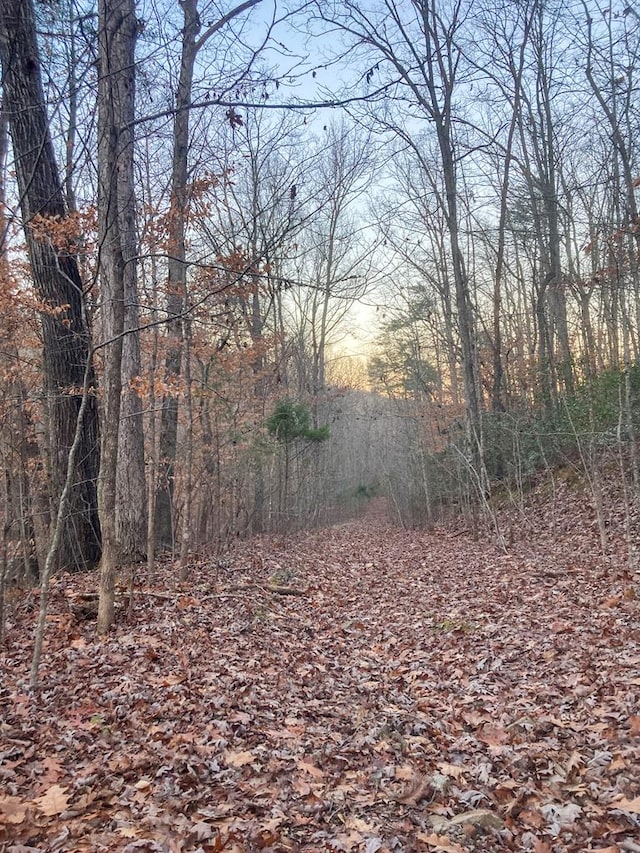 0 Old Spencer Rd Unit 198, Acres, Pikeville, TN 37367