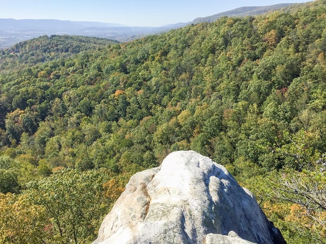 0 Old Spencer Rd Unit 198, Acres, Pikeville, TN 37367