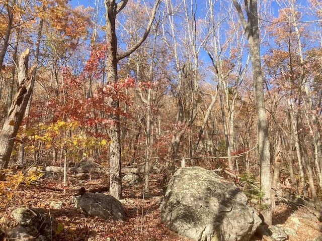 0 Old Spencer Rd Unit 198, Acres, Pikeville, TN 37367