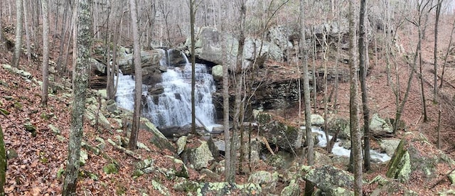 0 Old Spencer Rd Unit 198, Acres, Pikeville, TN 37367