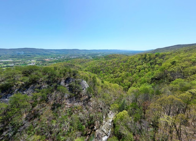 0 Old Spencer Rd Unit 198, Acres, Pikeville, TN 37367