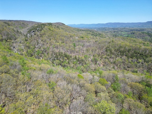0 Old Spencer Rd Unit 198, Acres, Pikeville, TN 37367