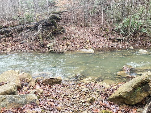 0 Old Spencer Rd Unit 198, Acres, Pikeville, TN 37367