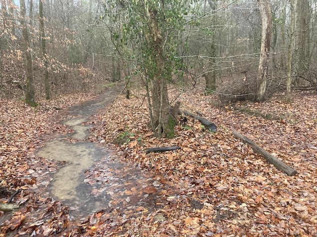 0 Old Spencer Rd Unit 198, Acres, Pikeville, TN 37367