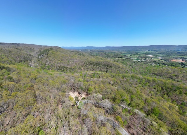 0 Old Spencer Rd Unit 198, Acres, Pikeville, TN 37367