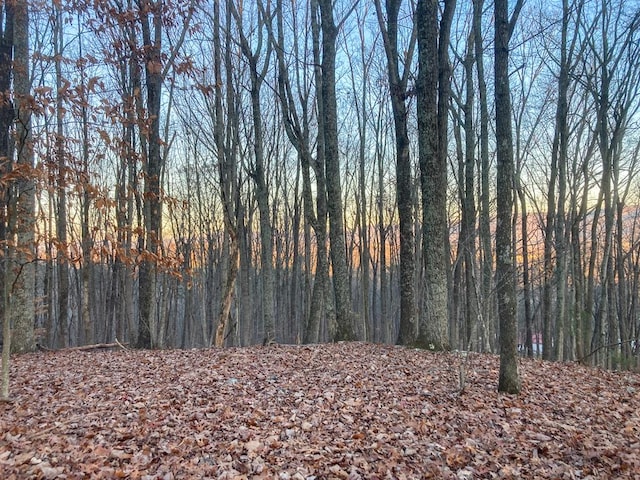 0 Old Spencer Rd Unit 198, Acres, Pikeville, TN 37367