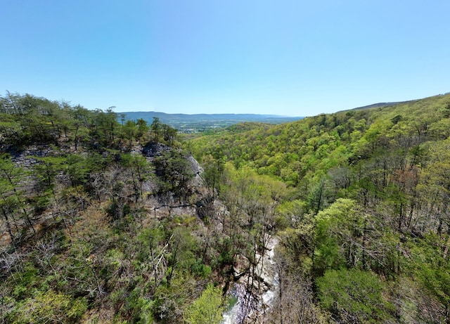 0 Old Spencer Rd Unit 198, Acres, Pikeville, TN 37367