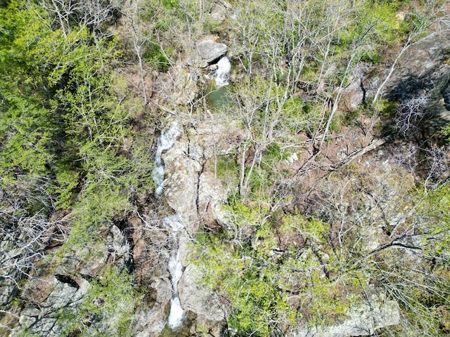 0 Old Spencer Rd Unit 198, Acres, Pikeville, TN 37367