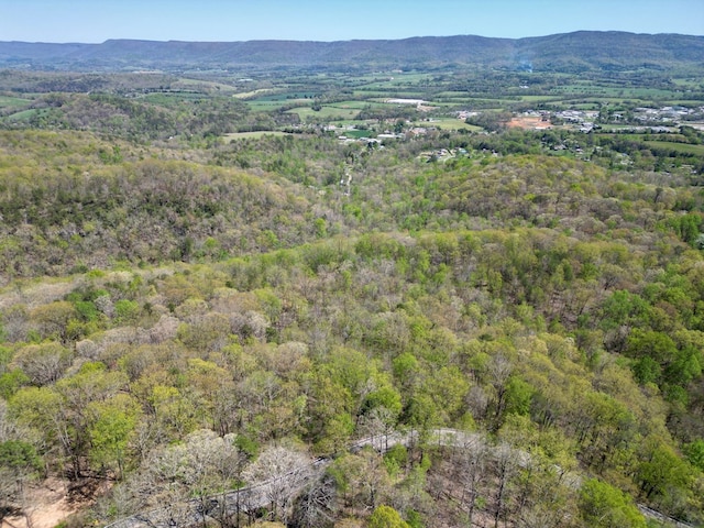 0 Old Spencer Rd Unit 198, Acres, Pikeville, TN 37367