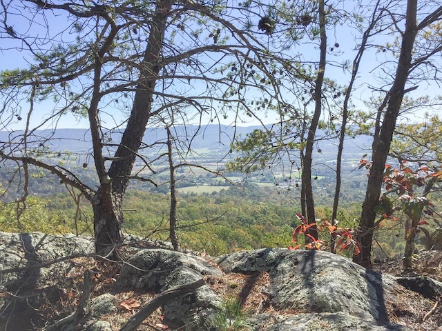 0 Old Spencer Rd Unit 198, Acres, Pikeville, TN 37367