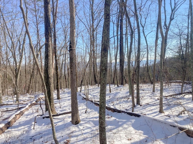 0 Old Spencer Rd Unit 198, Acres, Pikeville, TN 37367