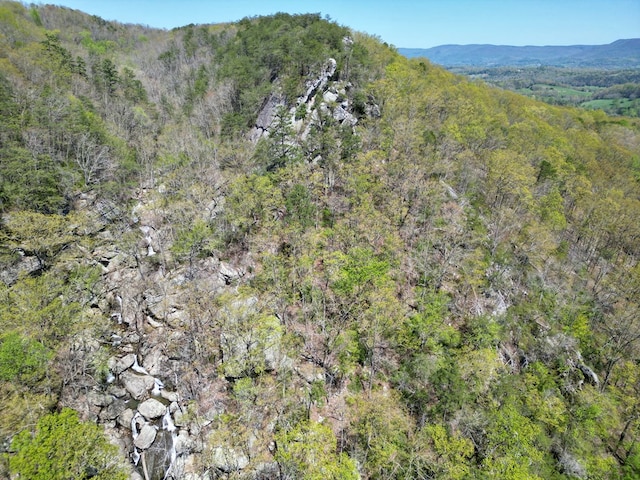 0 Old Spencer Rd Unit 198, Acres, Pikeville, TN 37367
