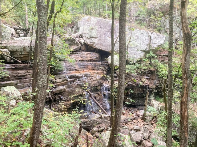 0 Old Spencer Rd Unit 198, Acres, Pikeville, TN 37367