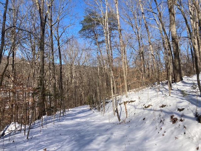 0 Old Spencer Rd Unit 198, Acres, Pikeville, TN 37367