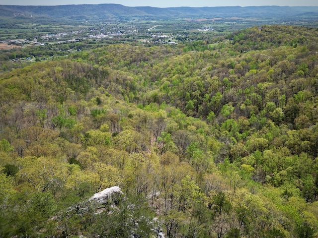 0 Old Spencer Rd Unit 198, Acres, Pikeville, TN 37367
