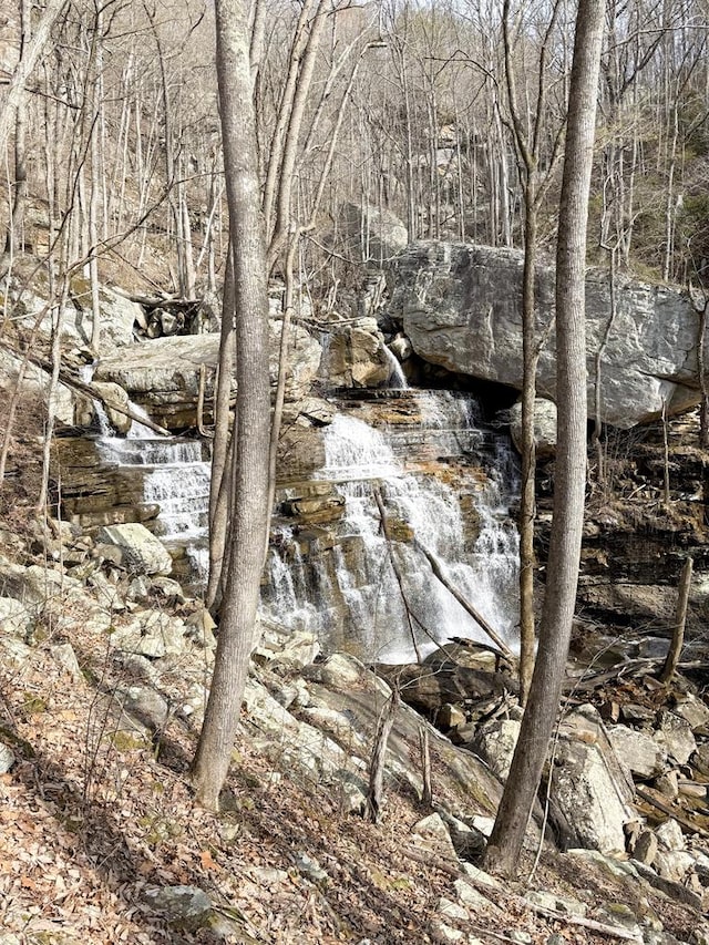 0 Old Spencer Rd Unit 198, Acres, Pikeville, TN 37367