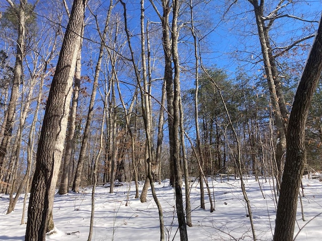 0 Old Spencer Rd Unit 198, Acres, Pikeville, TN 37367