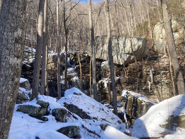 0 Old Spencer Rd Unit 198, Acres, Pikeville, TN 37367